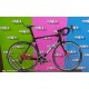 BICICLETTA DA CORSA - SOMEC CARBON 